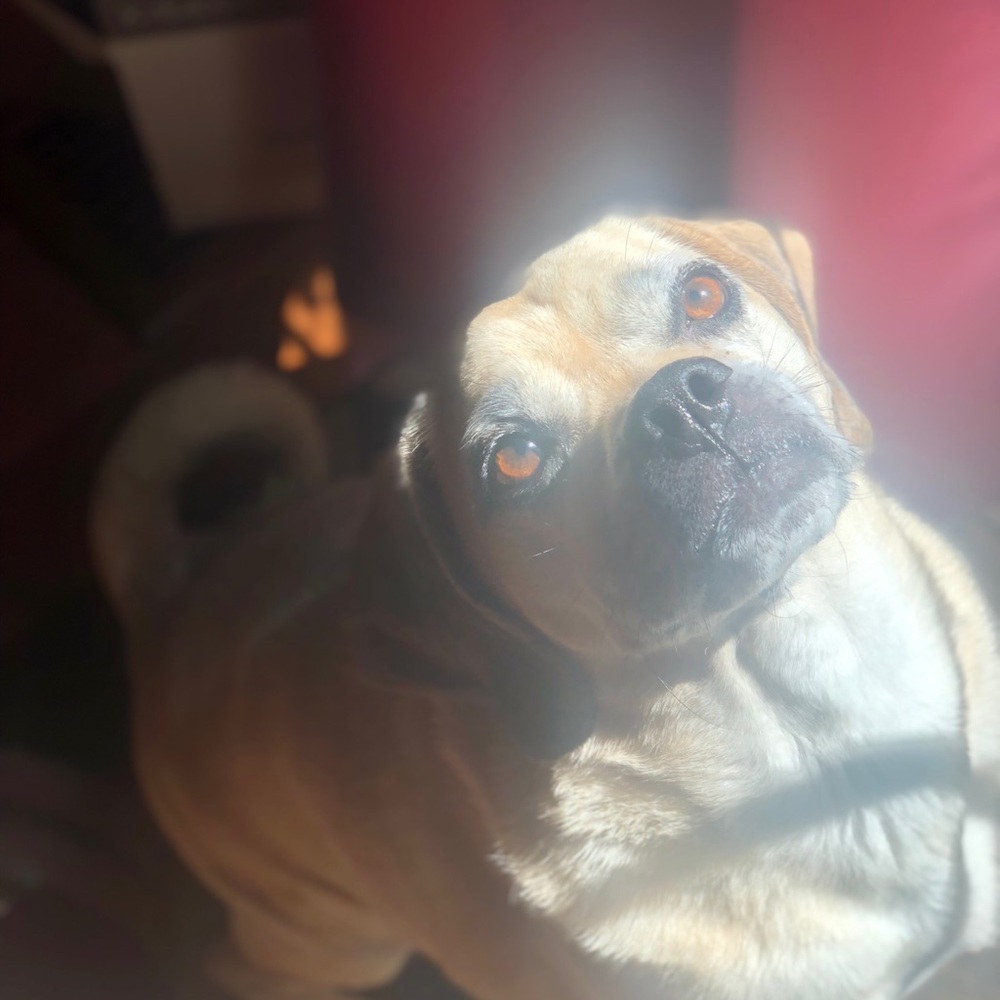 Meet your Posher, Jay